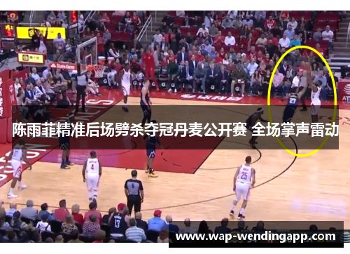 陈雨菲精准后场劈杀夺冠丹麦公开赛 全场掌声雷动
