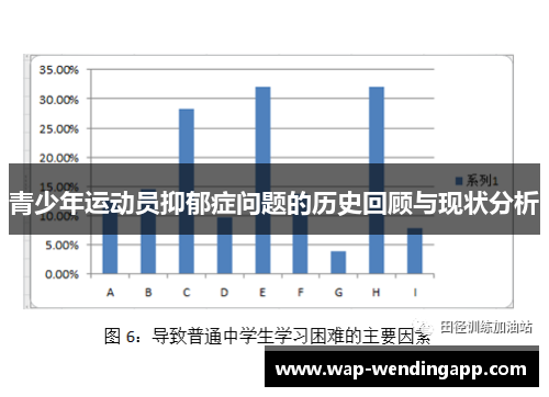青少年运动员抑郁症问题的历史回顾与现状分析
