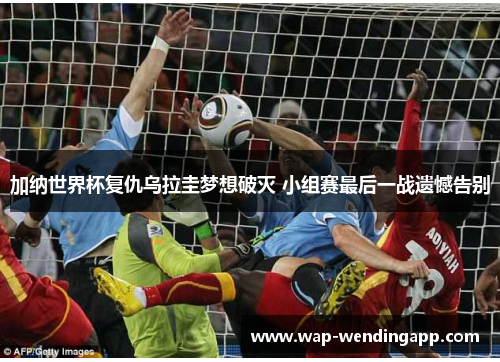 加纳世界杯复仇乌拉圭梦想破灭 小组赛最后一战遗憾告别